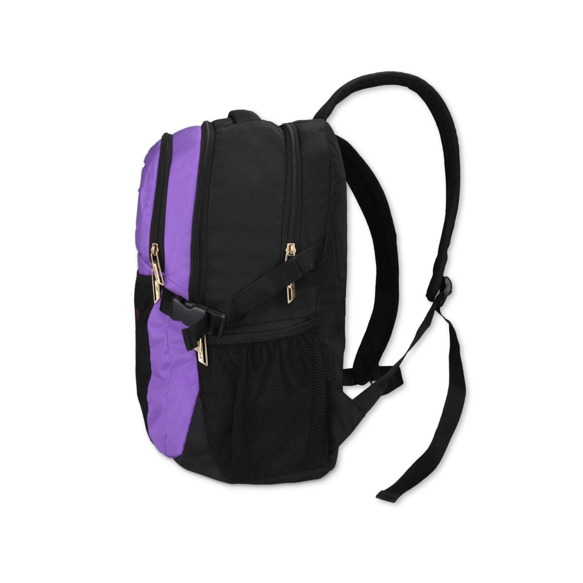 Black-Violet | Protecta Enigma Laptop Backpack-2