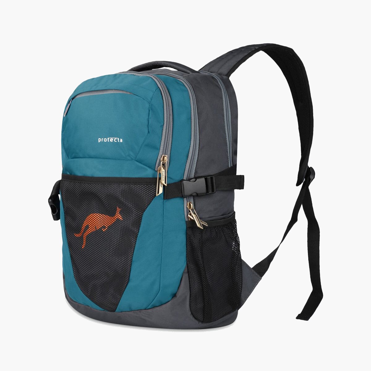 Grey-Astral | Protecta Enigma Laptop Backpack-1