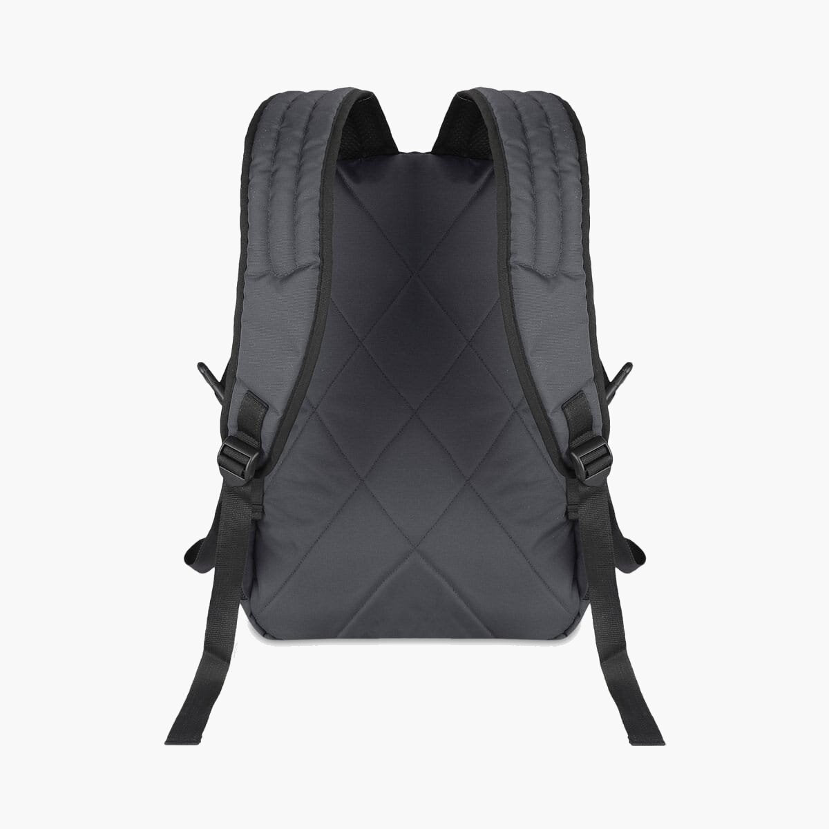 Grey-Astral | Protecta Enigma Laptop Backpack-3