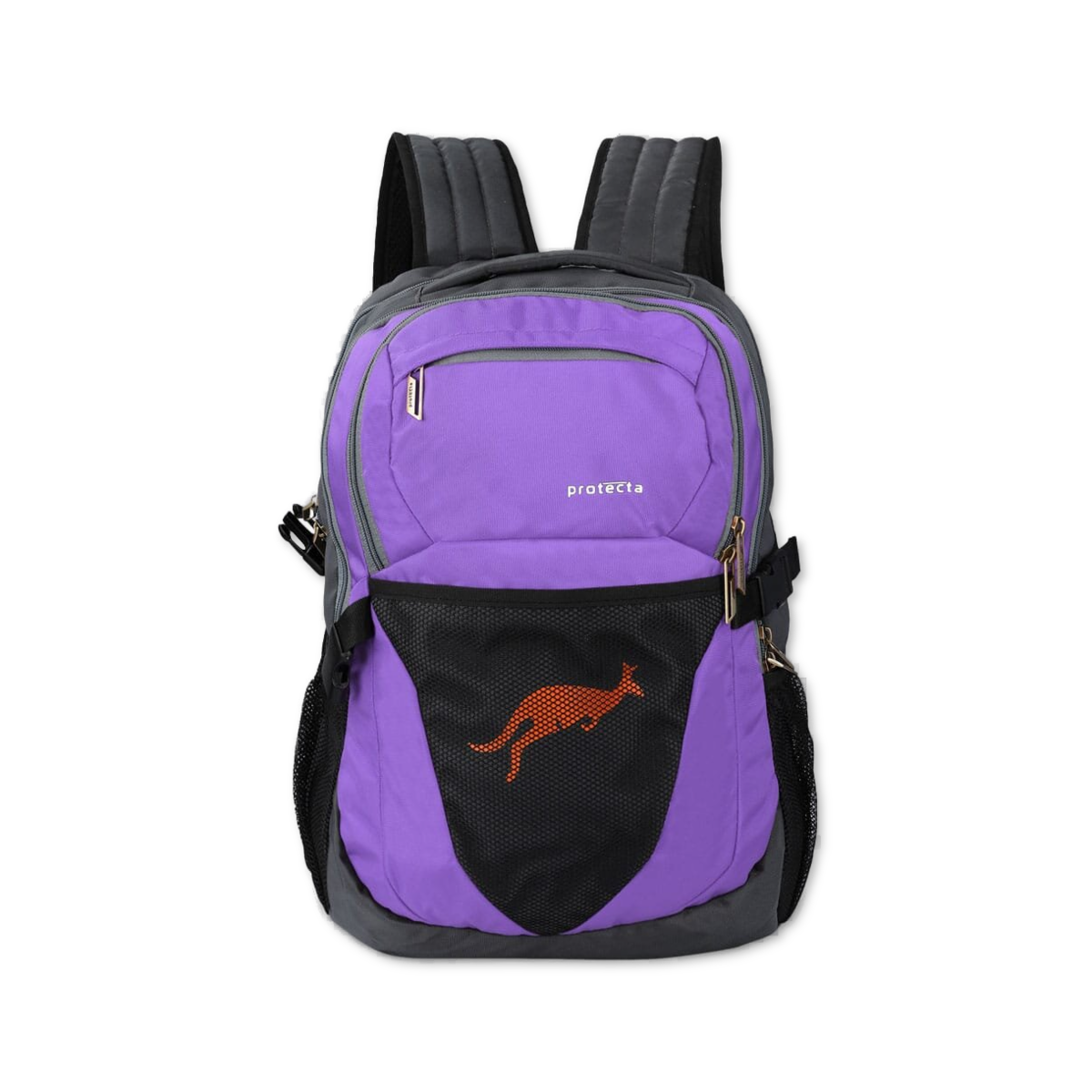 Grey-Violet | Protecta Enigma Laptop Backpack-Main
