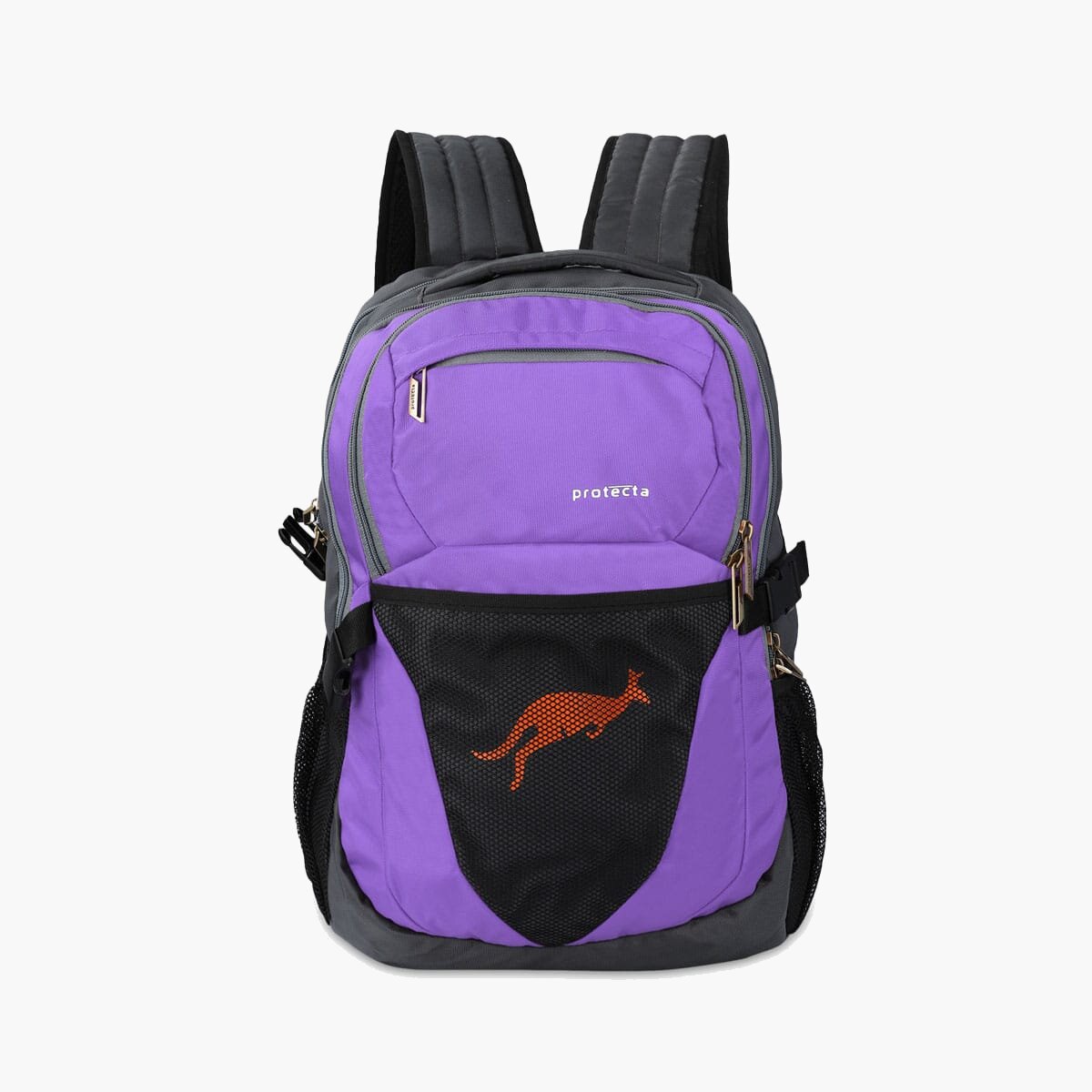 Grey-Violet | Protecta Enigma Laptop Backpack-Main