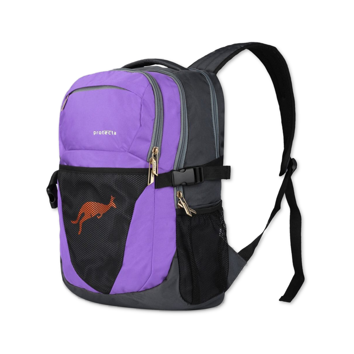 Grey-Violet | Protecta Enigma Laptop Backpack-1