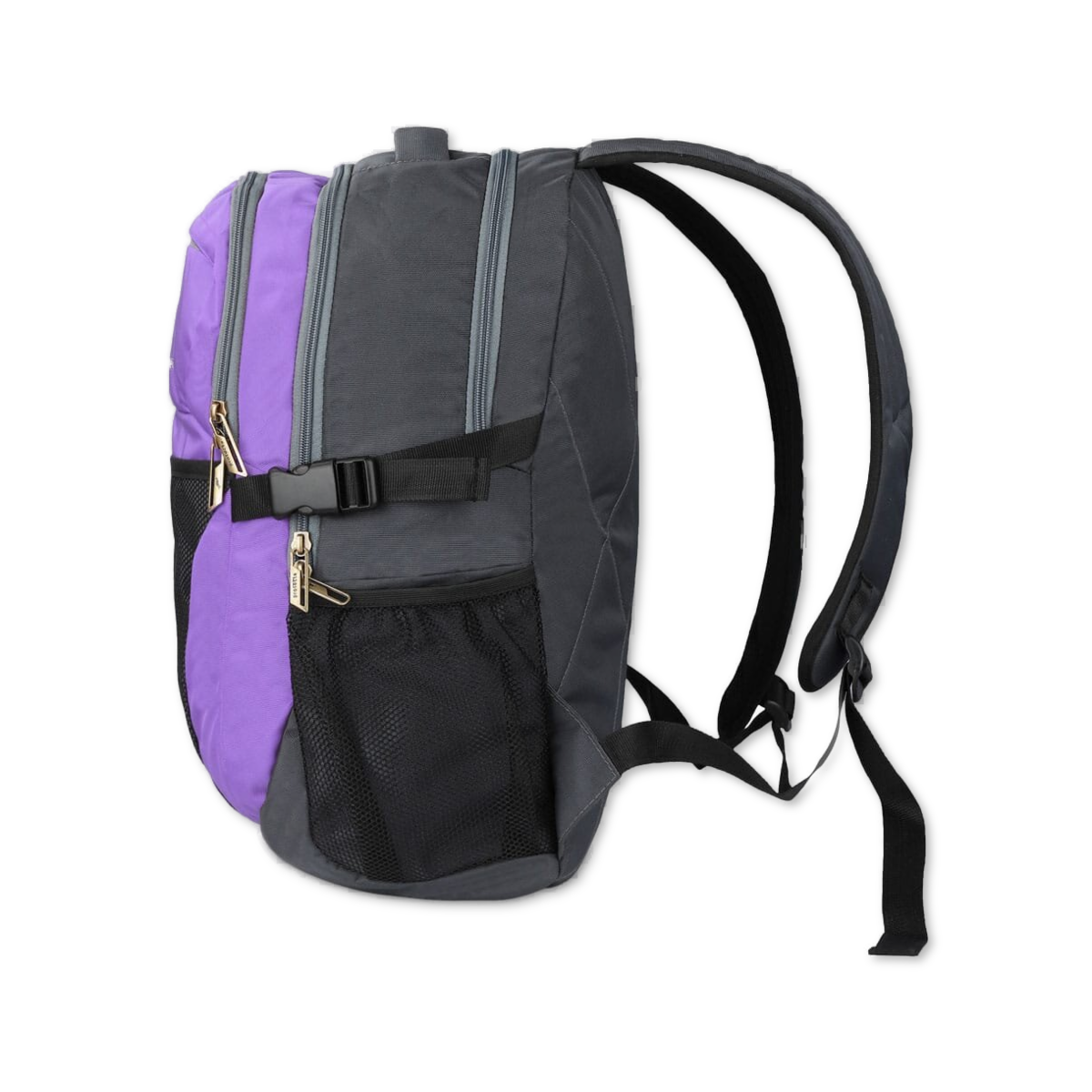 Grey-Violet | Protecta Enigma Laptop Backpack-2