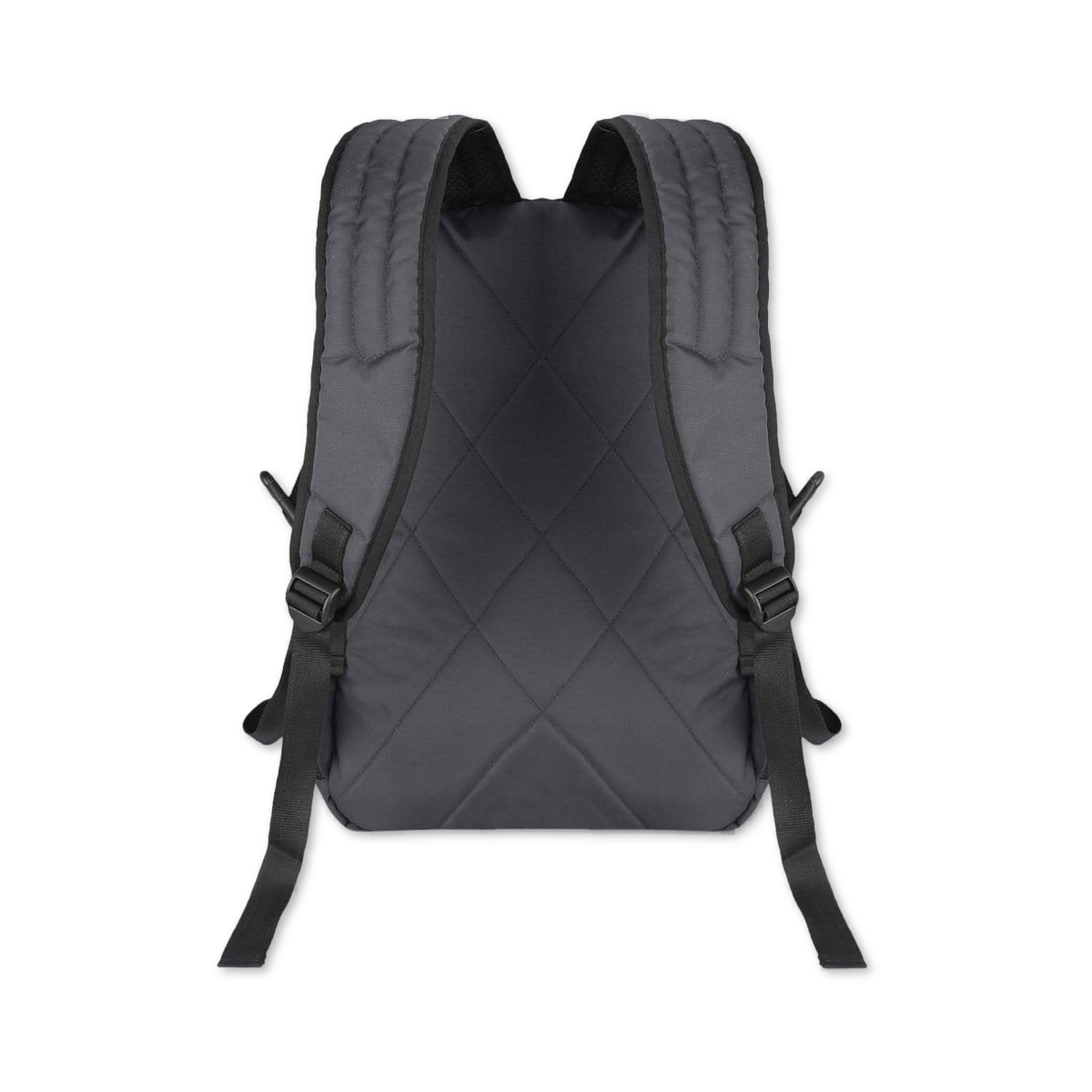 Grey-Violet | Protecta Enigma Laptop Backpack-3