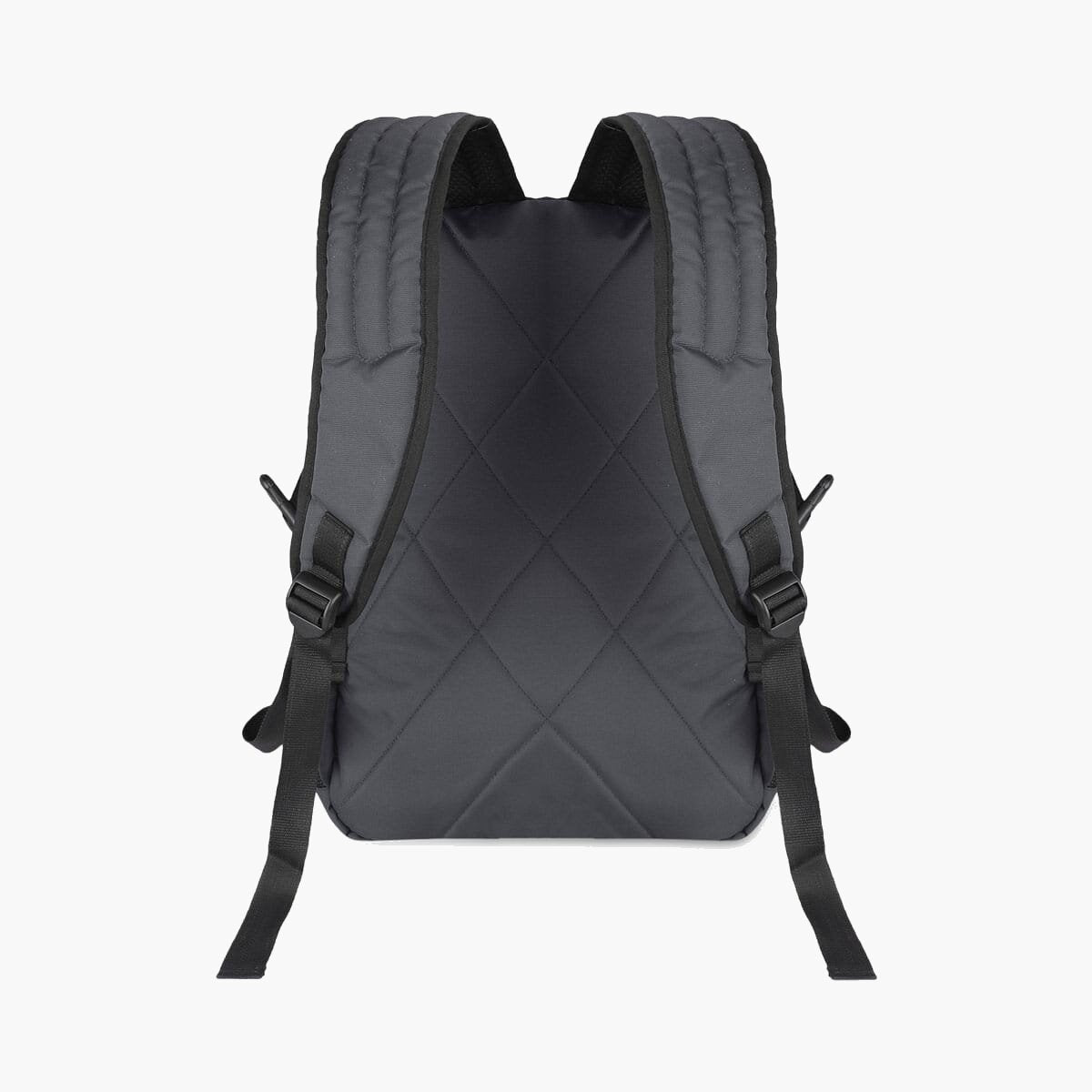 Grey-Violet | Protecta Enigma Laptop Backpack-3