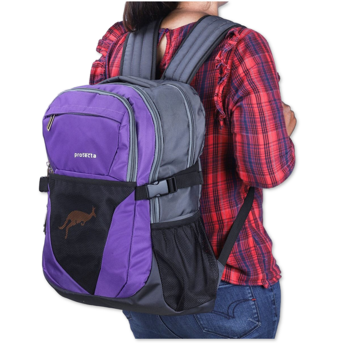 Grey-Violet | Protecta Enigma Laptop Backpack-6