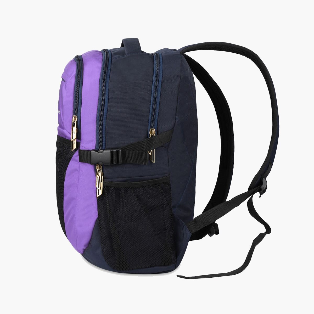 Navy-Violet | Protecta Enigma Laptop Backpack-2