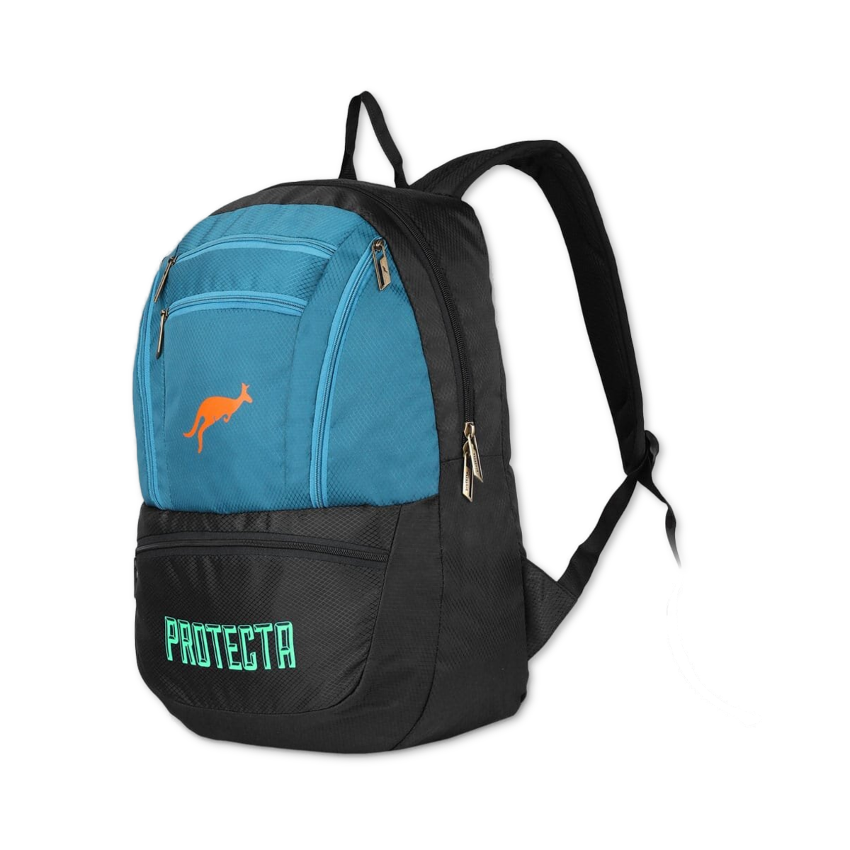Black-Astral | Protecta Paragon Laptop Backpack-1