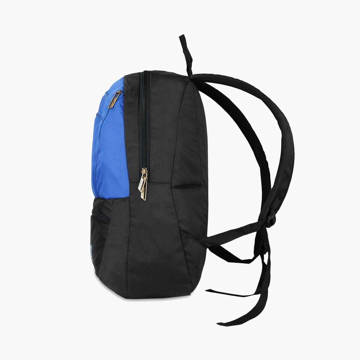 Black-Blue | Protecta Paragon Laptop Backpack-2