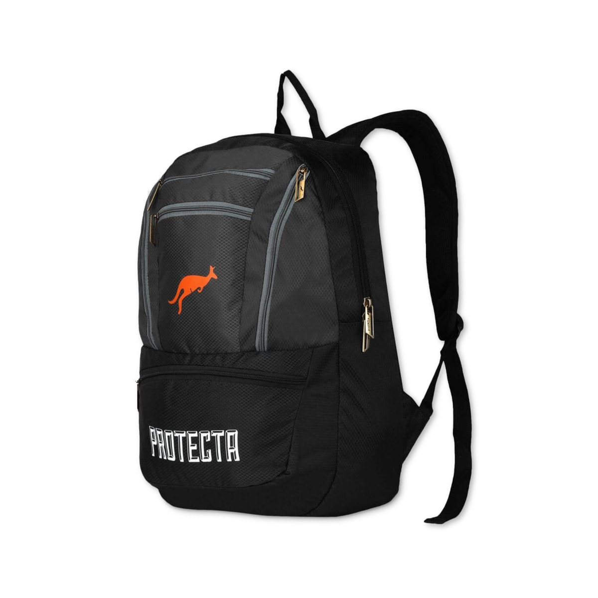 Black-Grey | Protecta Paragon Laptop Backpack-1