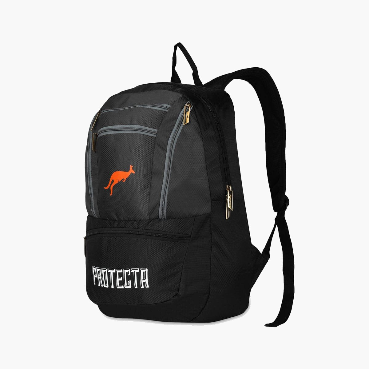 Black-Grey | Protecta Paragon Laptop Backpack-1