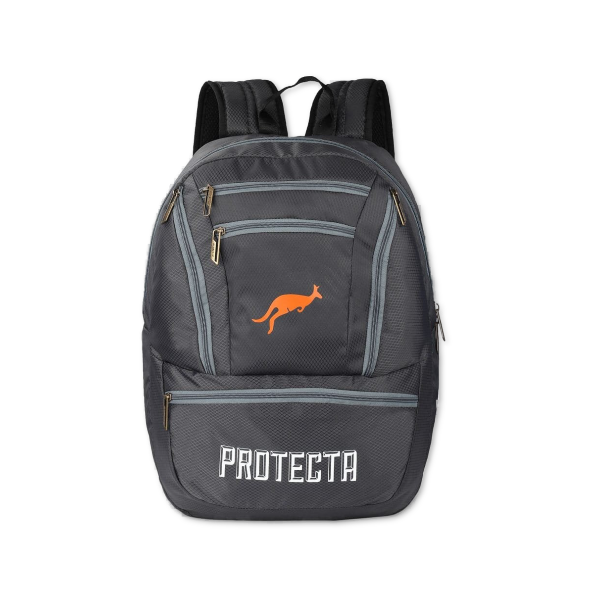 Grey | Protecta Paragon Laptop Backpack-Main