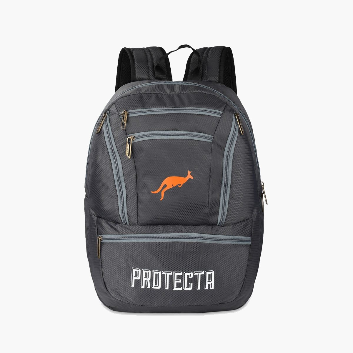 Grey | Protecta Paragon Laptop Backpack-Main