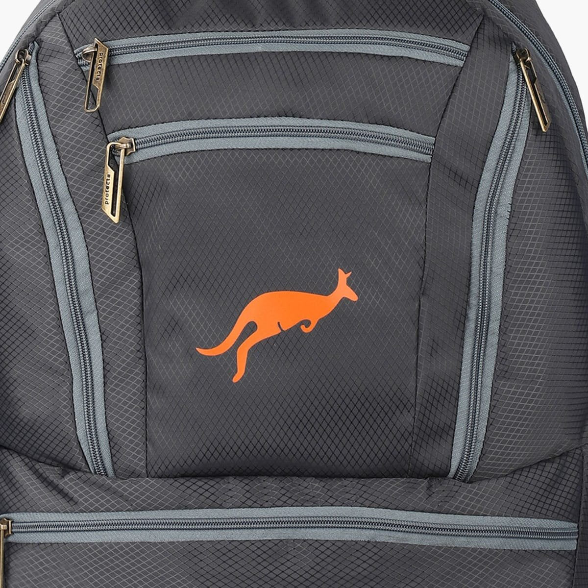 Grey | Protecta Paragon Laptop Backpack-6