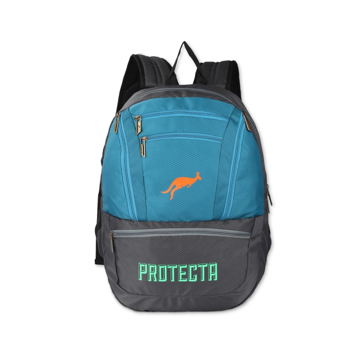 Grey-Astral | Protecta Paragon Laptop Backpack-Main