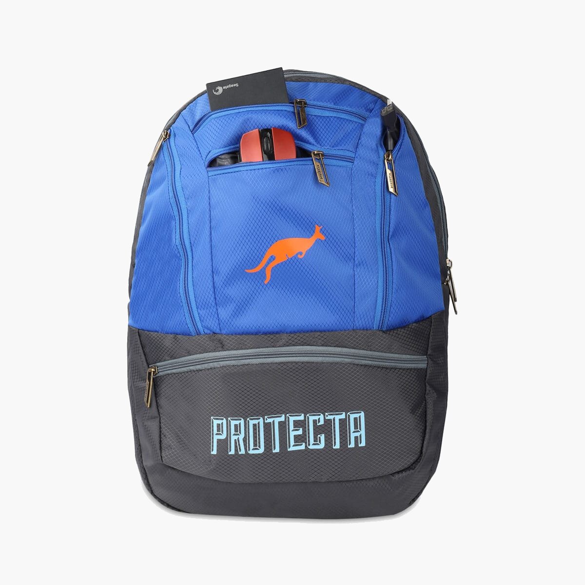 Grey-Blue | Protecta Paragon Laptop Backpack-5