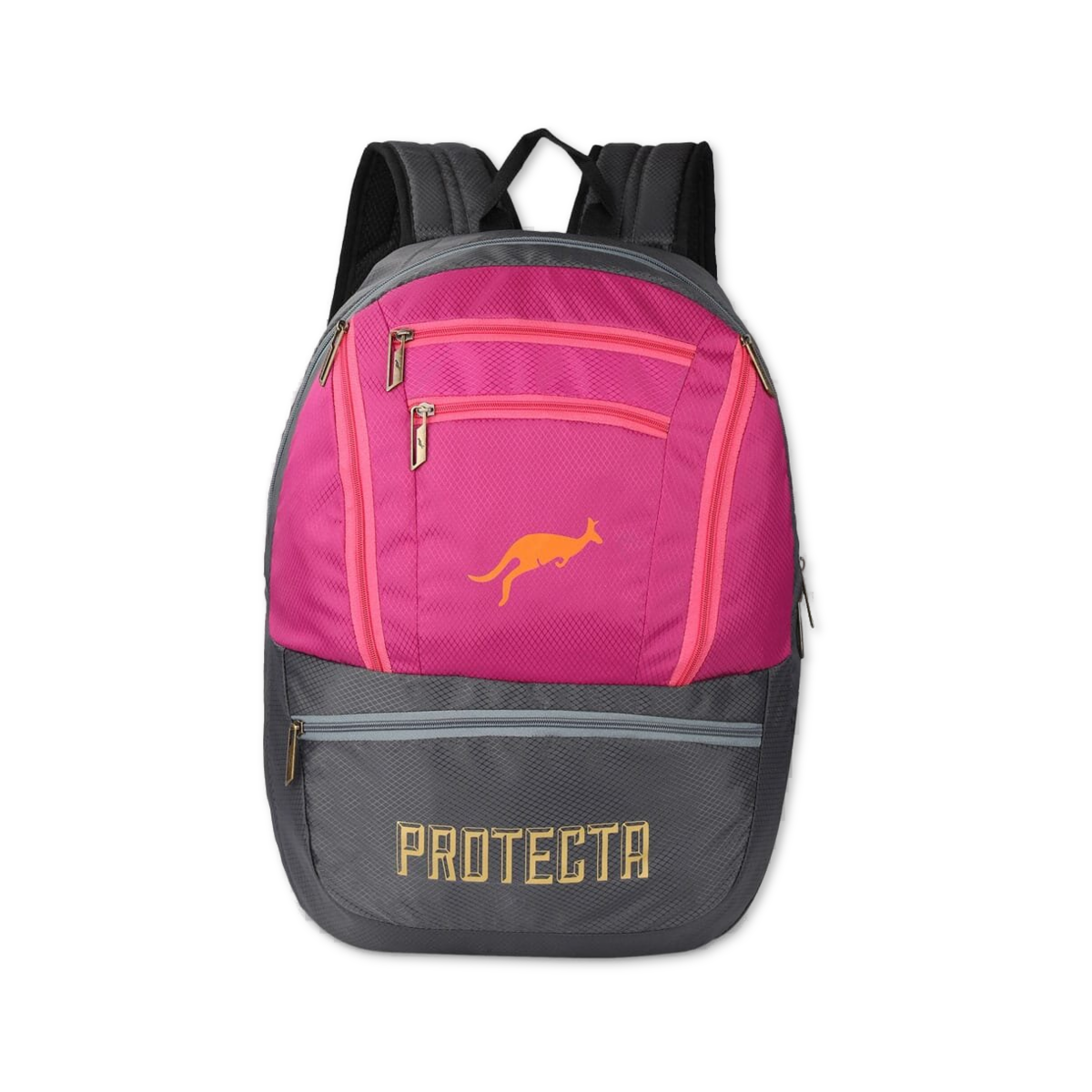 Grey-Pink | Protecta Paragon Laptop Backpack-Main