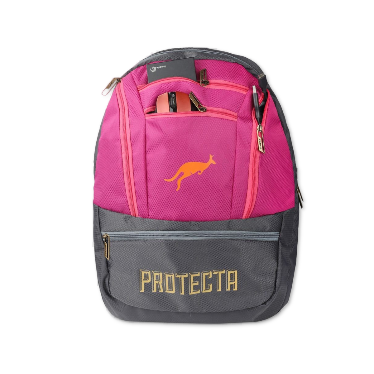 Grey-Pink | Protecta Paragon Laptop Backpack-5