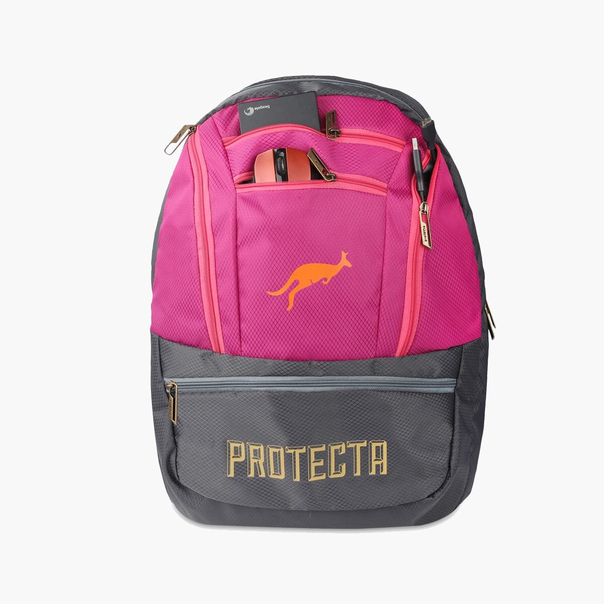 Grey-Pink | Protecta Paragon Laptop Backpack-5
