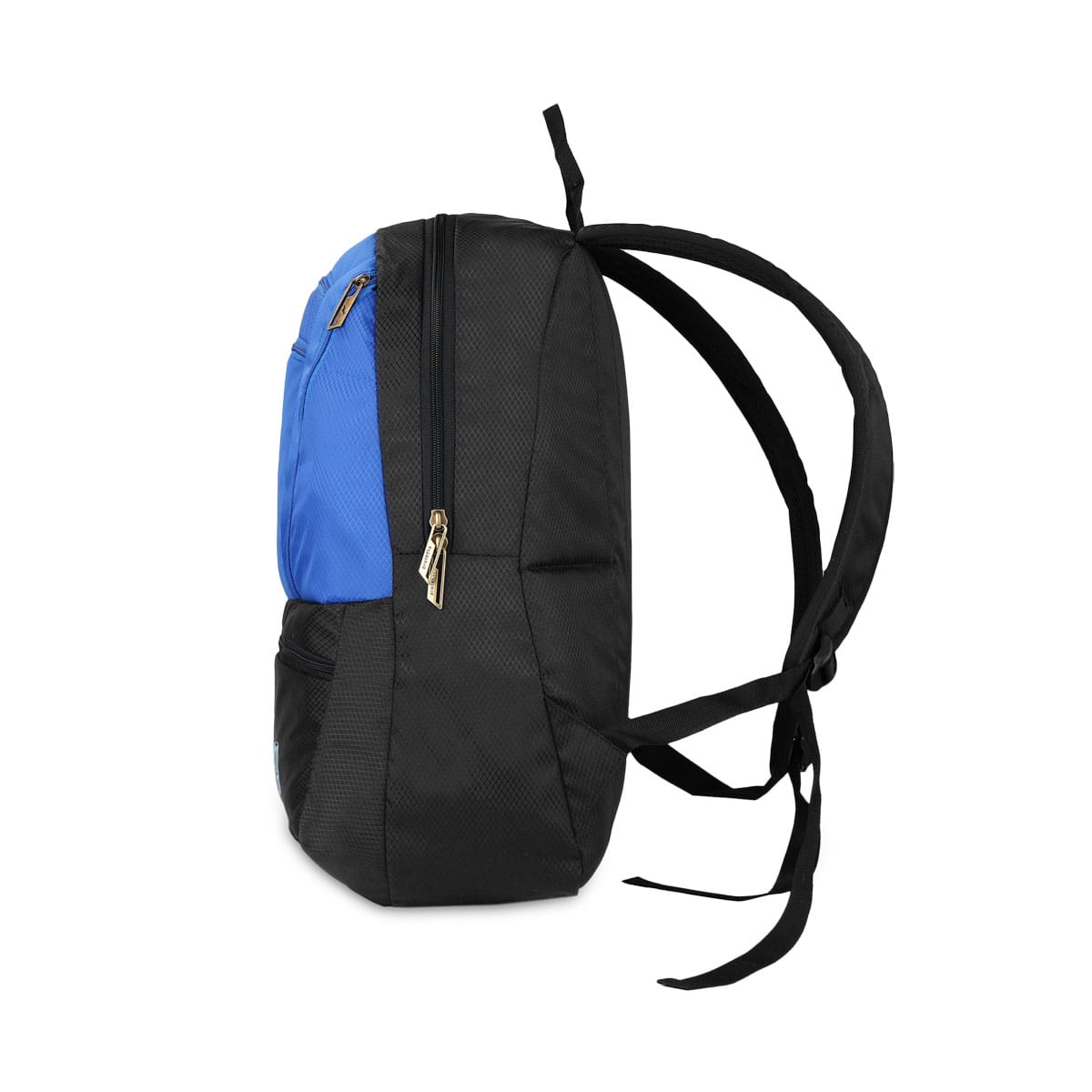 Black-Blue | Protecta Paragon Laptop Backpack-2