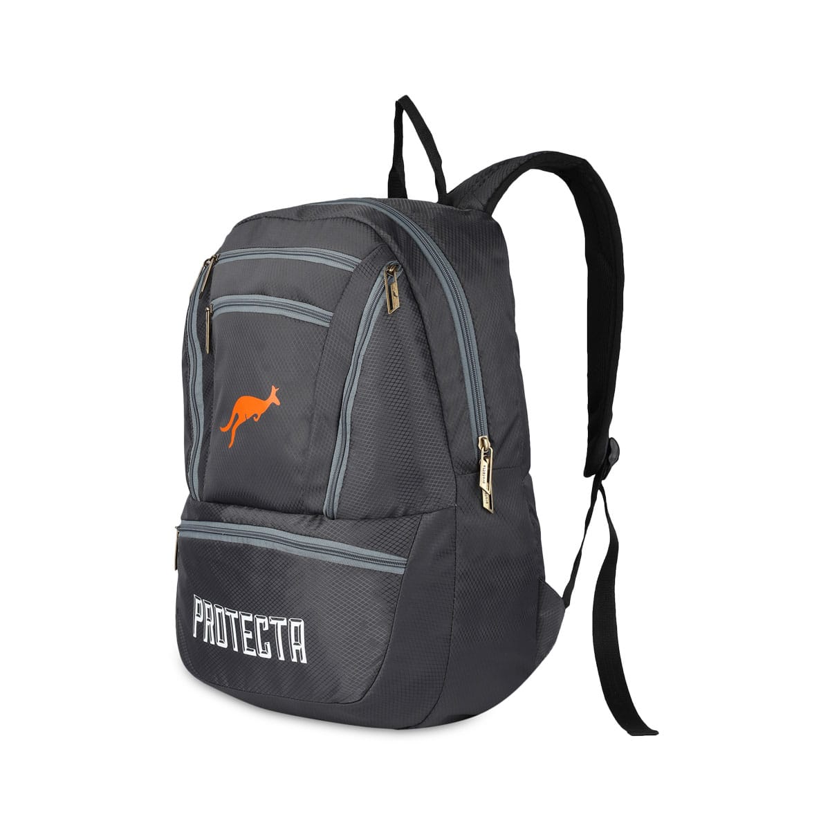 Grey | Protecta Paragon Laptop Backpack-1
