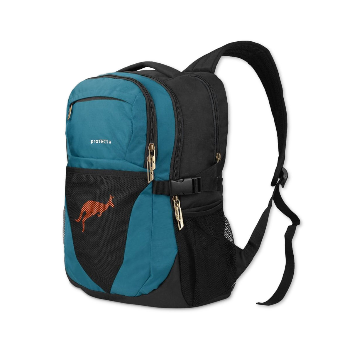 Black-Astral | Protecta Enigma Laptop Backpack-1