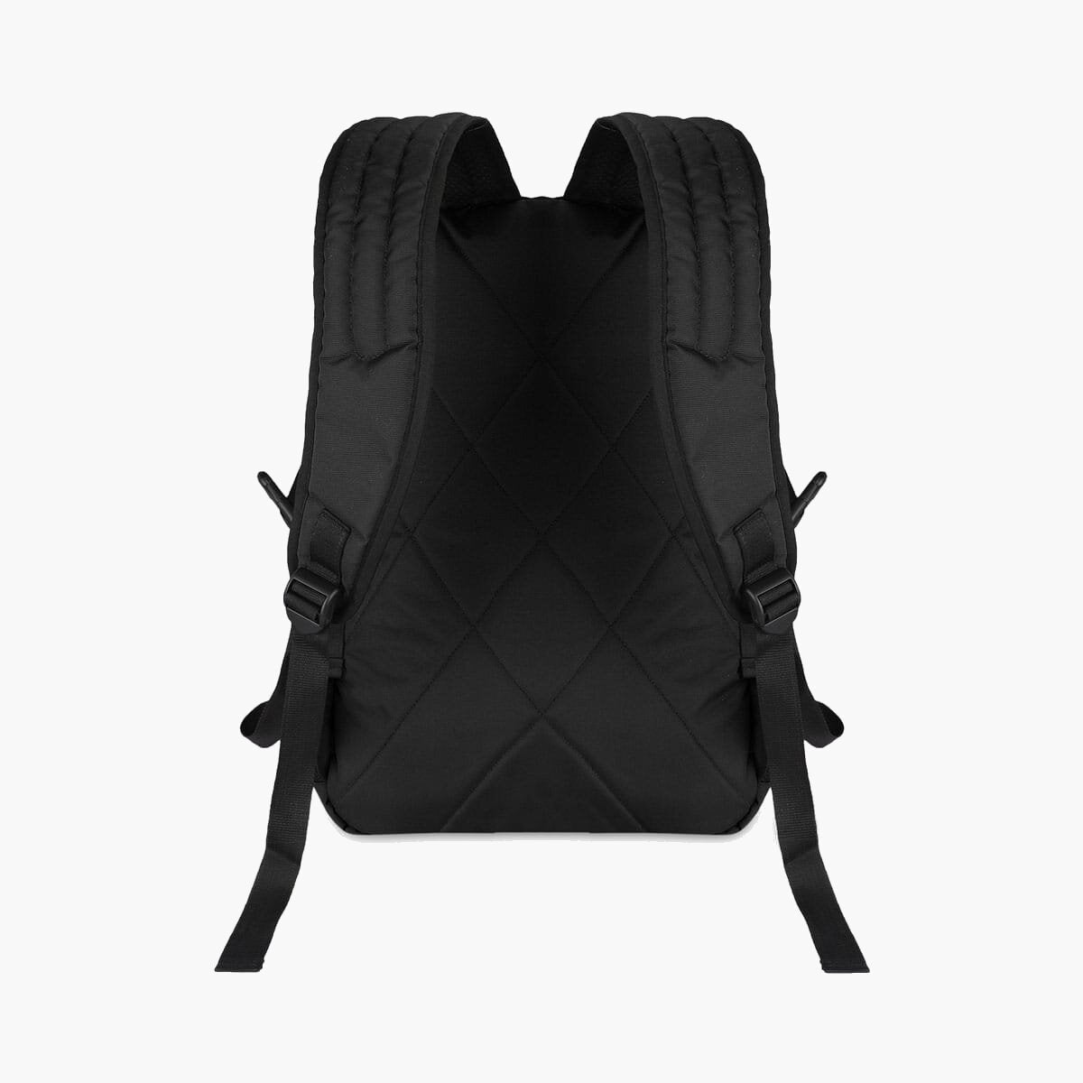 Black-Violet | Protecta Enigma Laptop Backpack-3