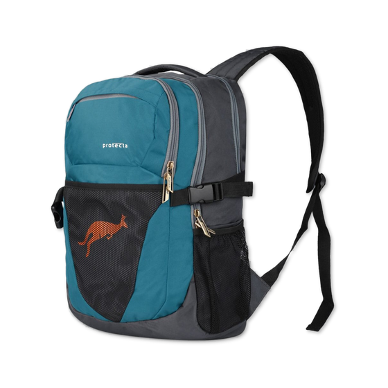 Grey-Astral | Protecta Enigma Laptop Backpack-1
