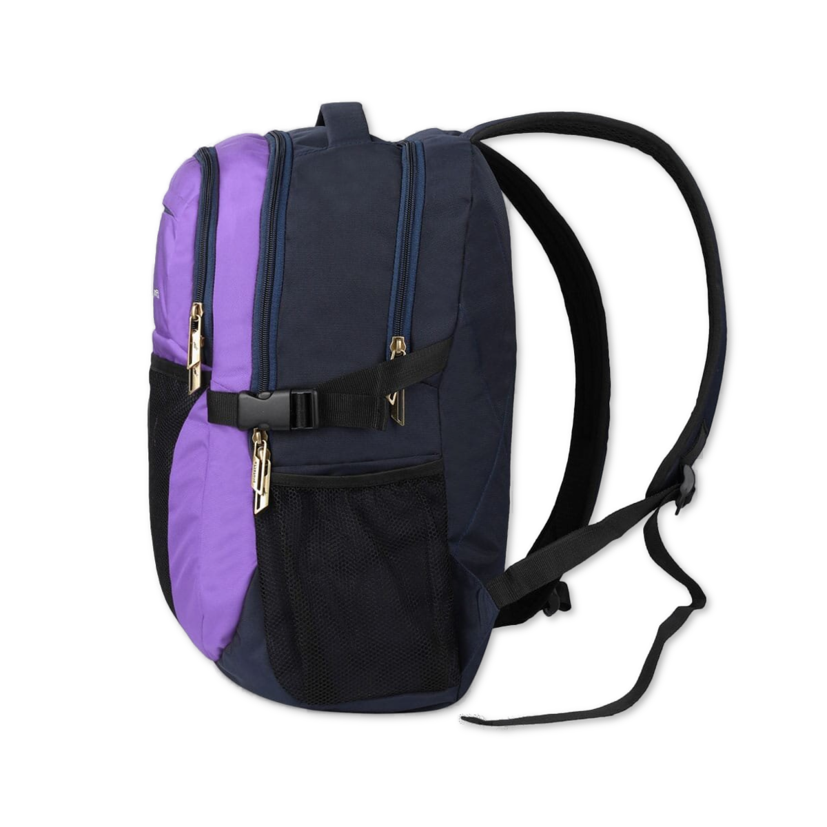 Navy-Violet | Protecta Enigma Laptop Backpack-2