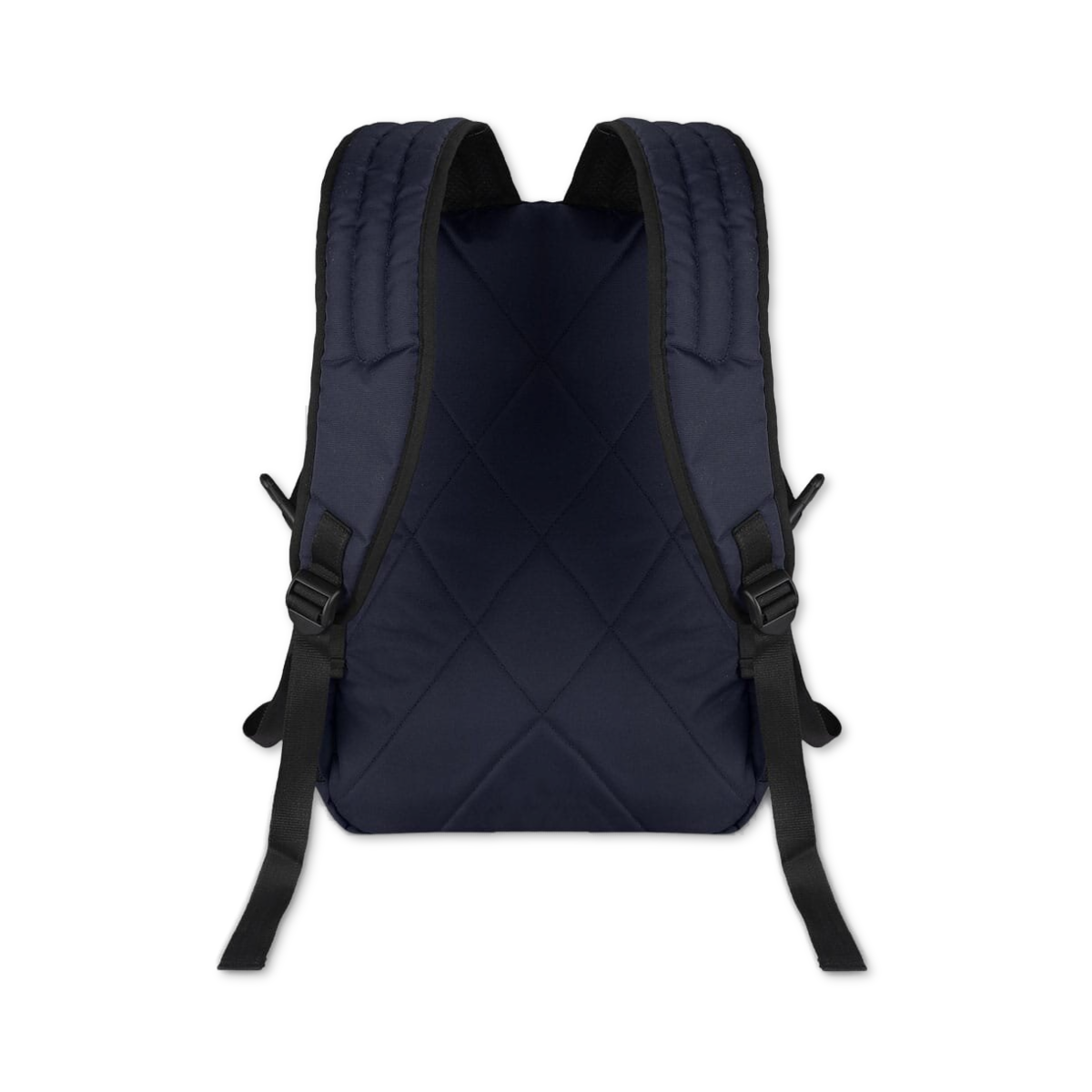 Navy-Violet | Protecta Enigma Laptop Backpack-3