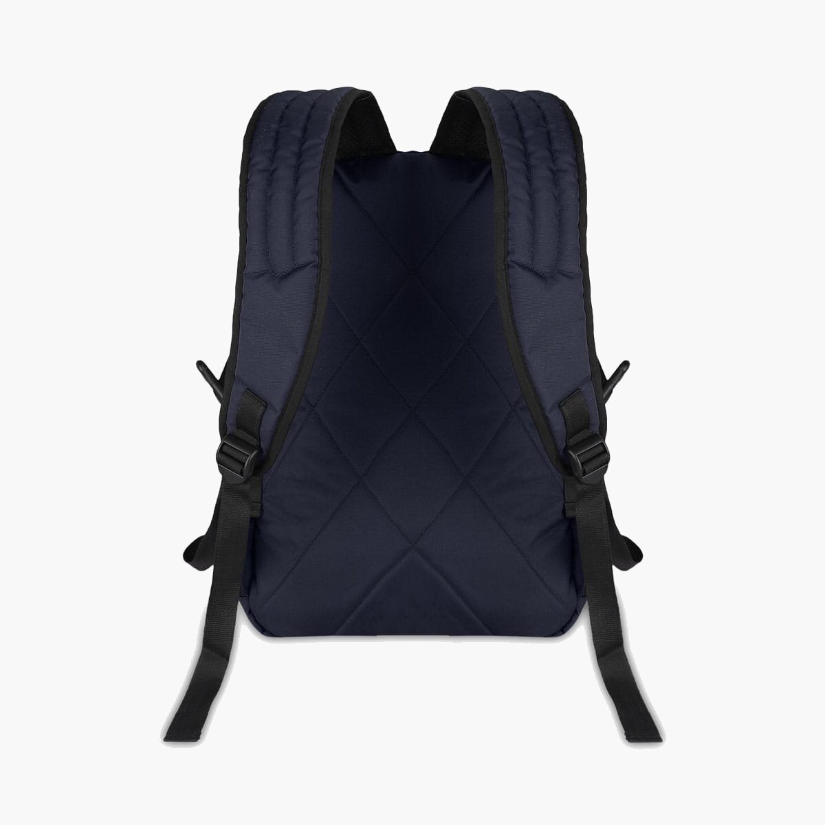 Navy-Violet | Protecta Enigma Laptop Backpack-3
