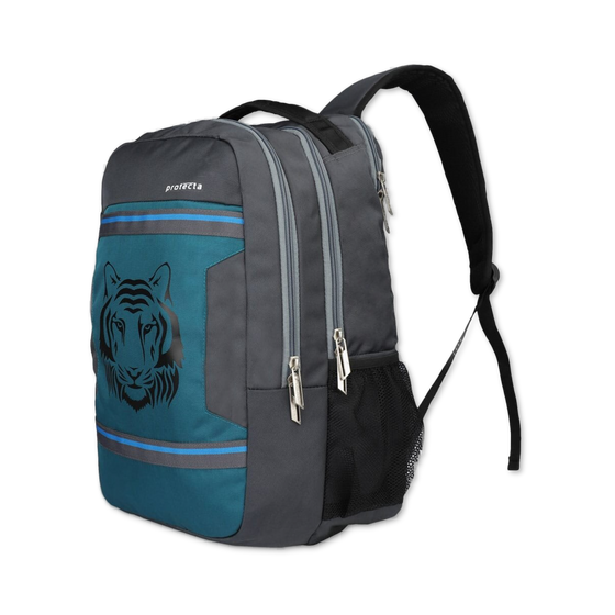 Grey-Astral | Protecta Harmony Laptop Backpack-1