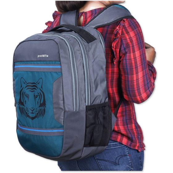 Grey-Astral | Protecta Harmony Laptop Backpack-6