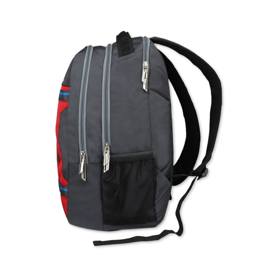 Grey-Red | Protecta Harmony Laptop Backpack-2
