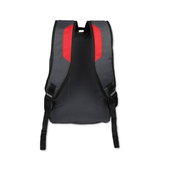 Grey-Red | Protecta Harmony Laptop Backpack-3