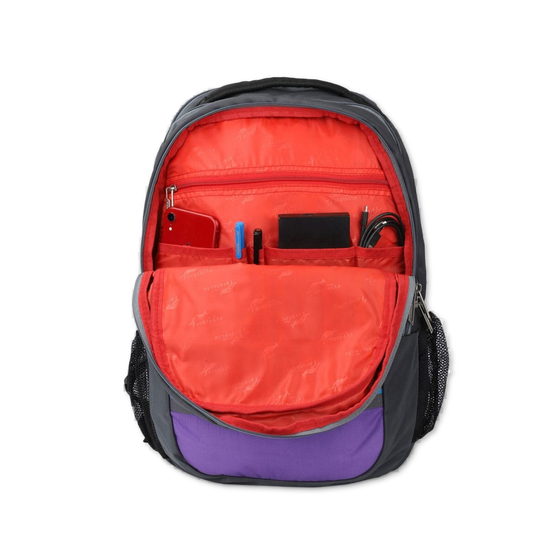 Grey-Violet | Protecta Harmony Laptop Backpack-4