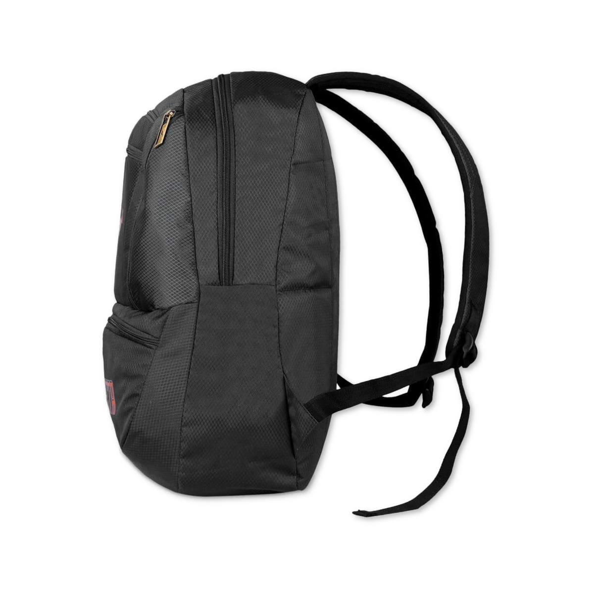 Black | Protecta Paragon Laptop Backpack-1