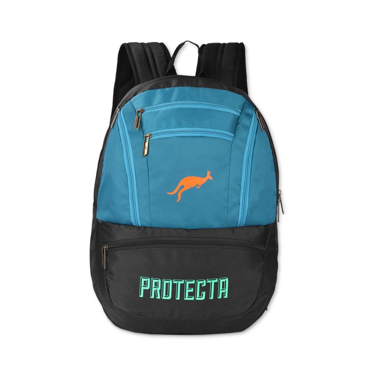 Black-Astral | Protecta Paragon Laptop Backpack-Main