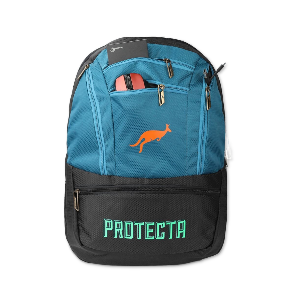 Black-Astral | Protecta Paragon Laptop Backpack-5