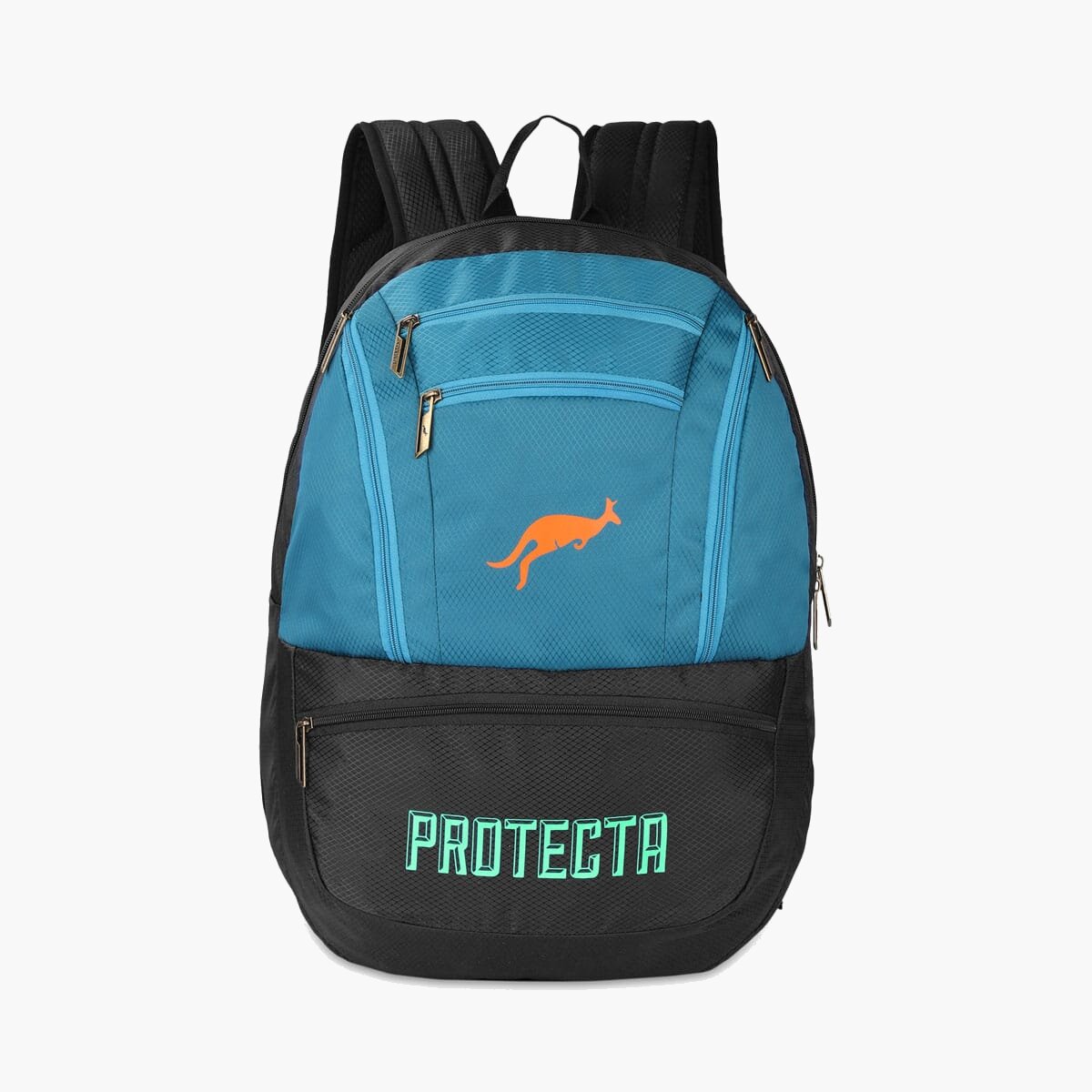 Black-Astral | Protecta Paragon Laptop Backpack-Main