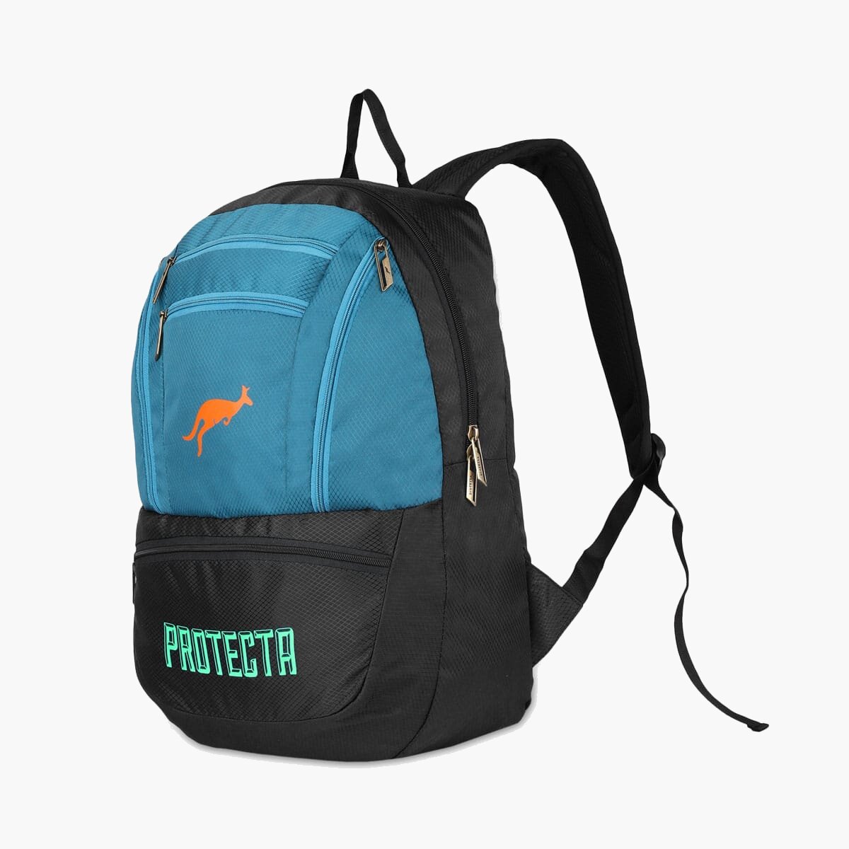 Black-Astral | Protecta Paragon Laptop Backpack-1