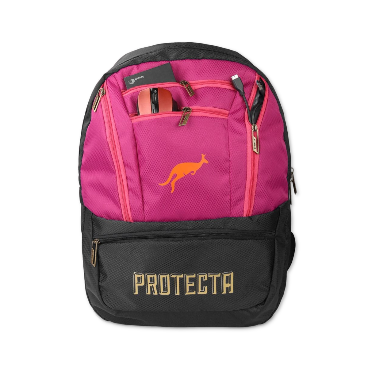 Black-Pink | Protecta Paragon Laptop Backpack-6