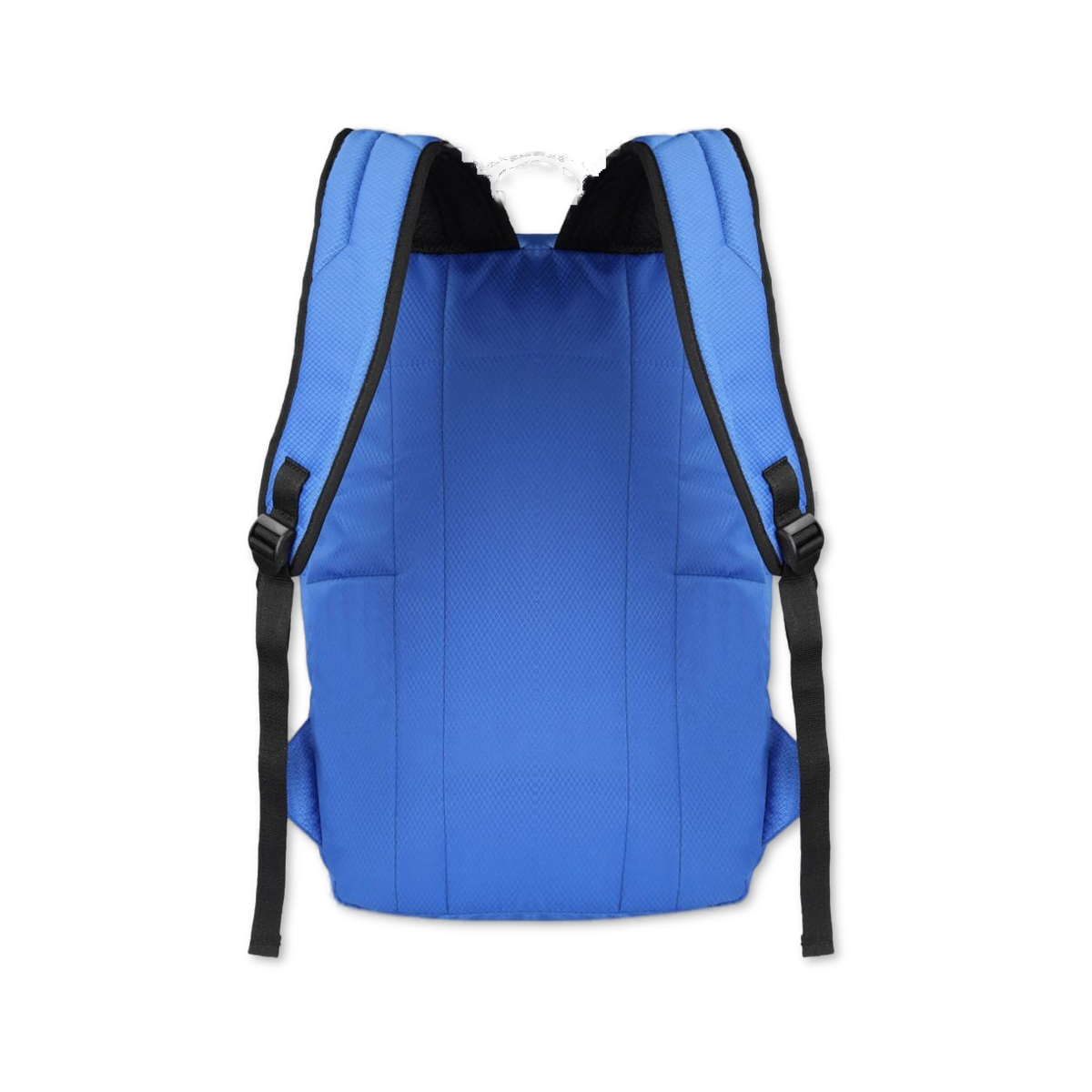 Blue | Protecta Paragon Laptop Backpack-3