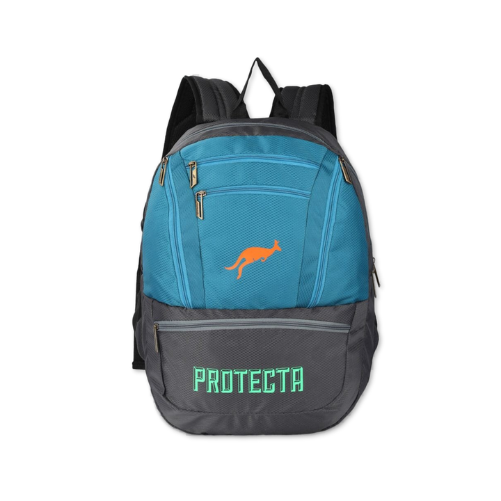 Grey-Astral | Protecta Paragon Laptop Backpack-Main