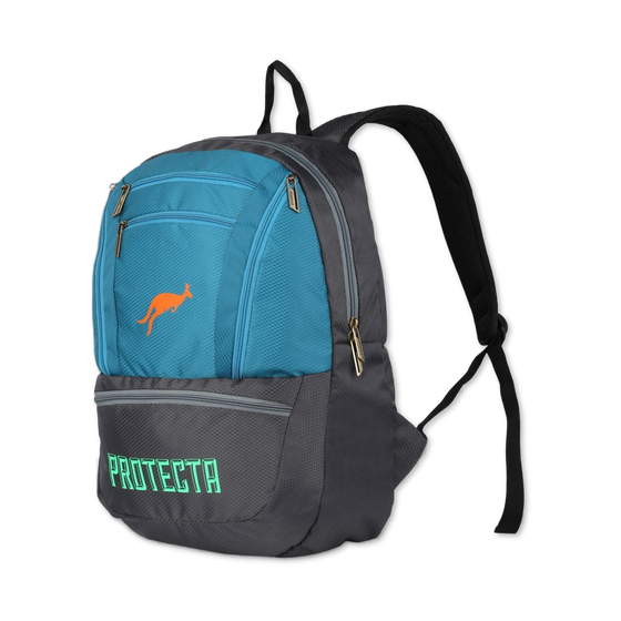 Grey-Astral | Protecta Paragon Laptop Backpack-1