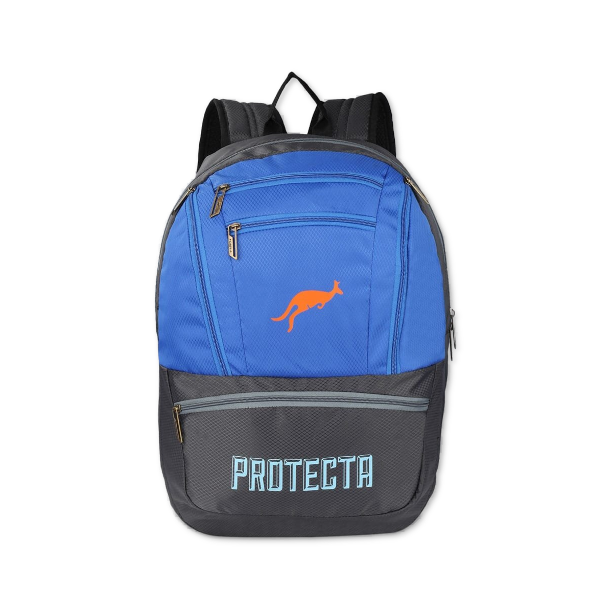 Grey-Blue | Protecta Paragon Laptop Backpack-Main