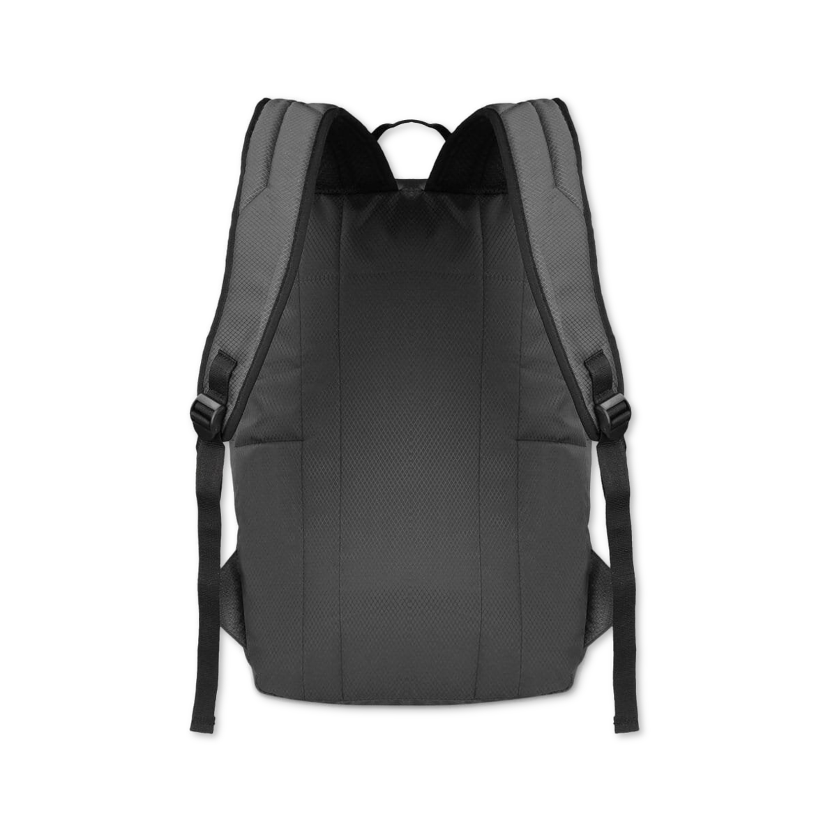 Grey-Blue | Protecta Paragon Laptop Backpack-3
