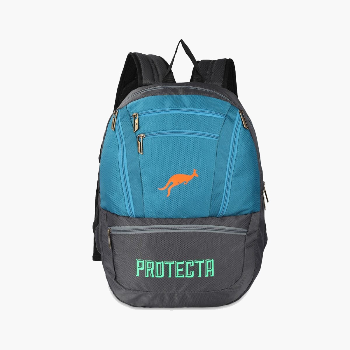 Grey-Astral | Protecta Paragon Laptop Backpack-Main