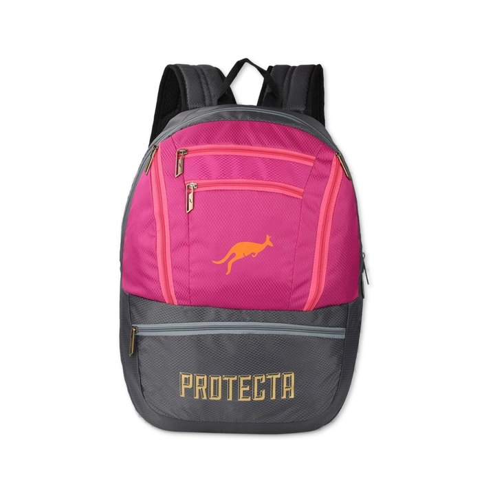 Grey-Pink | Protecta Paragon Laptop Backpack-Main