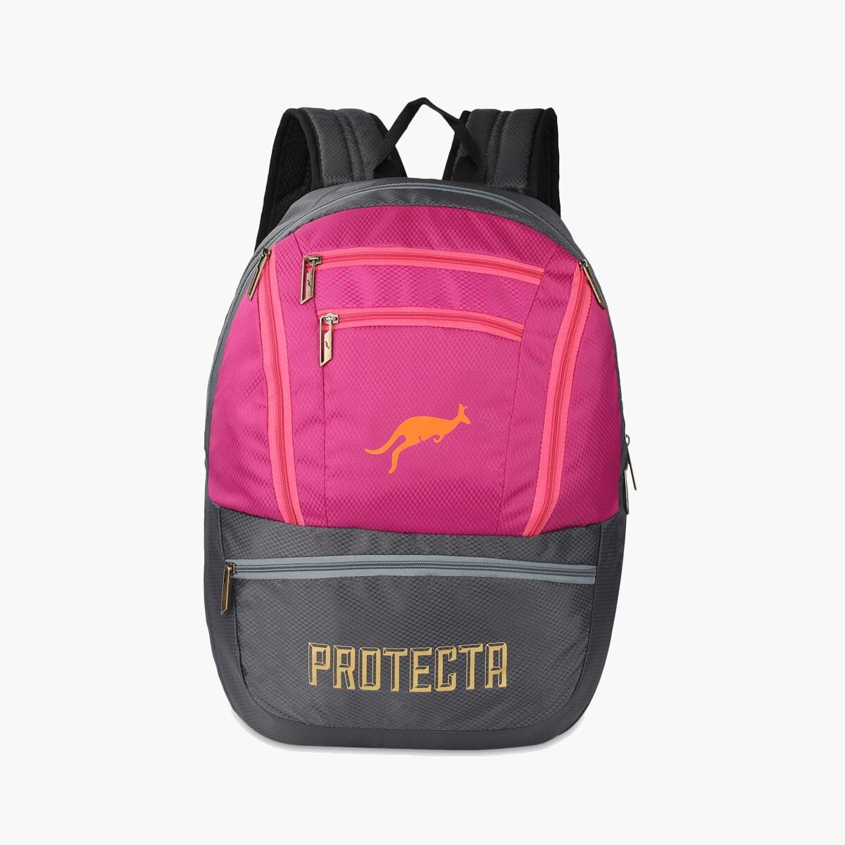 Grey-Pink | Protecta Paragon Laptop Backpack-Main